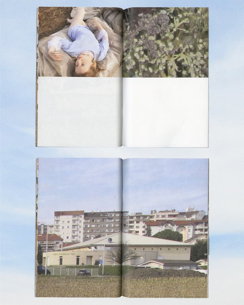 Overshoot - Image 4