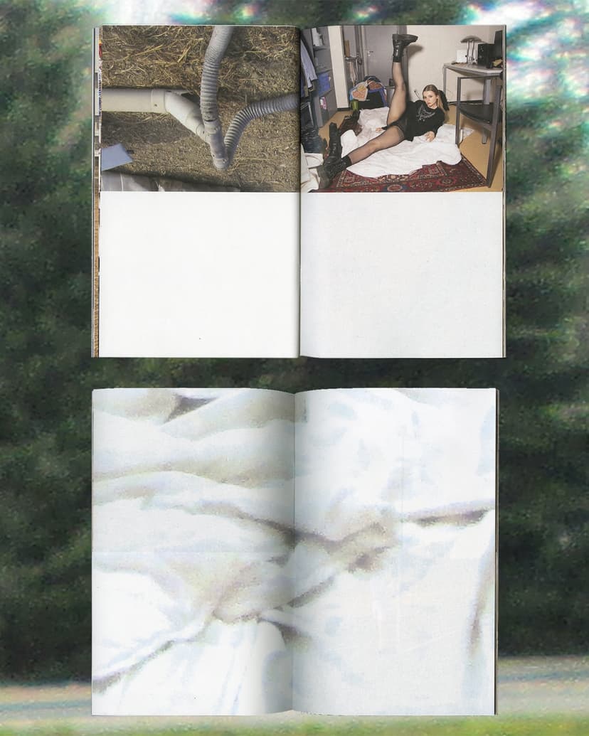 Overshoot - Image 5