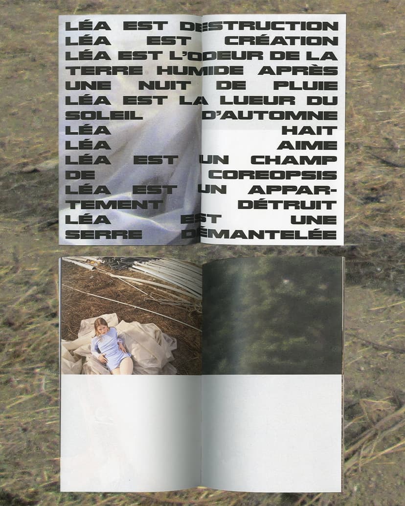 Overshoot - Image 6